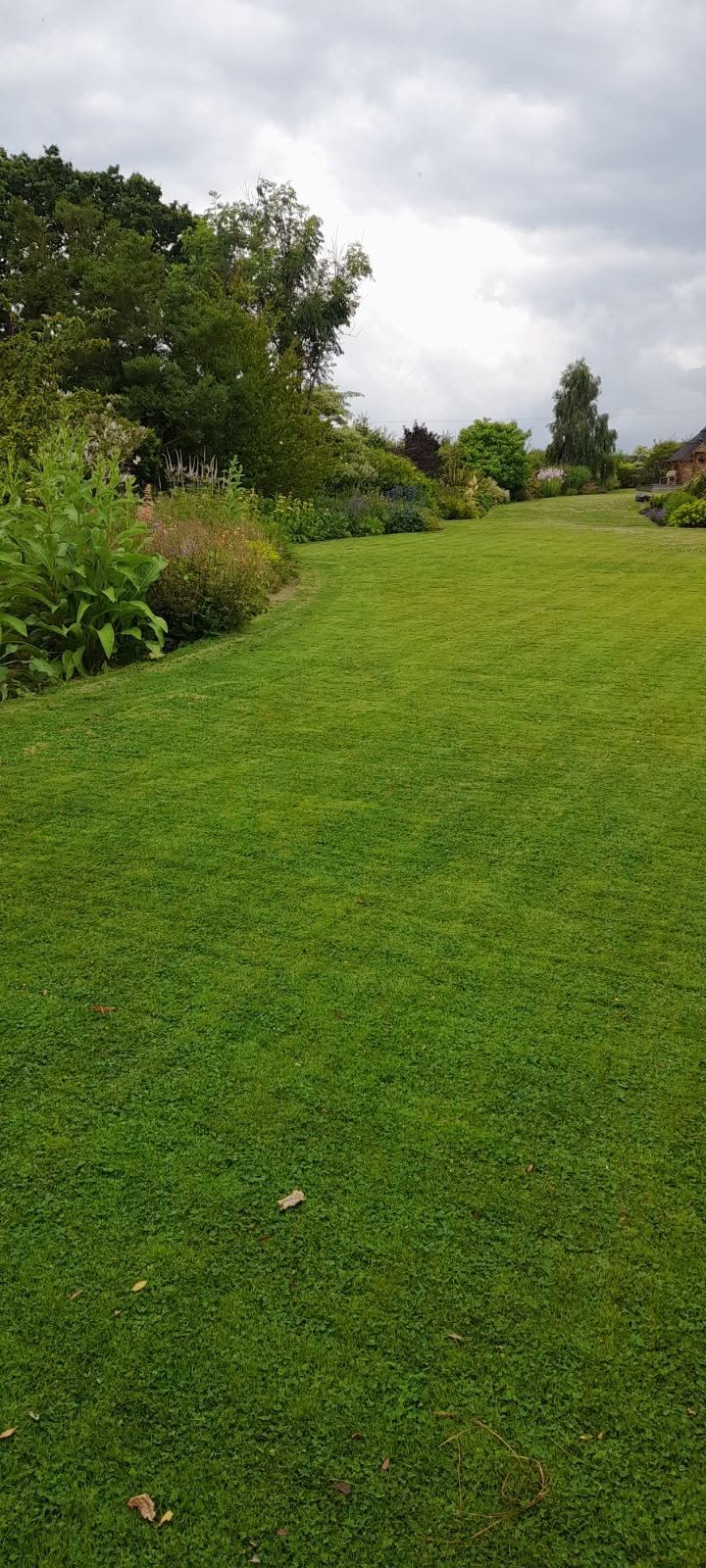 Long striped lawn running between planted borders