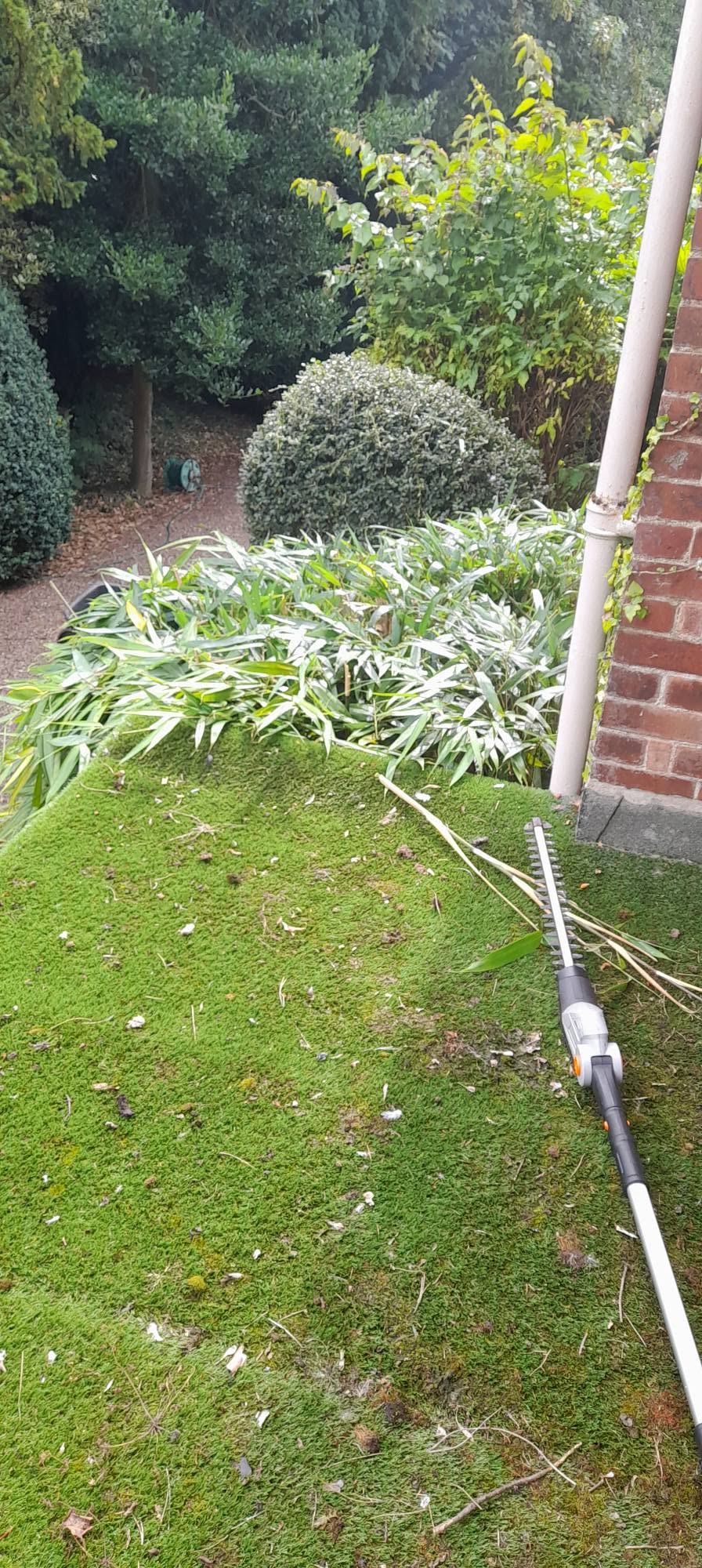 Lawn edge and planting along a brick wall