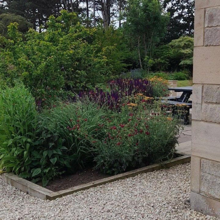 Planted border edged in timber with gravel and sandstone
