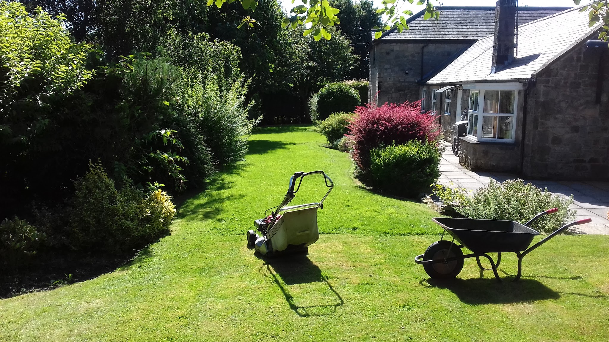 Freshly mown cottage lawn with a mower and wheelbarrow