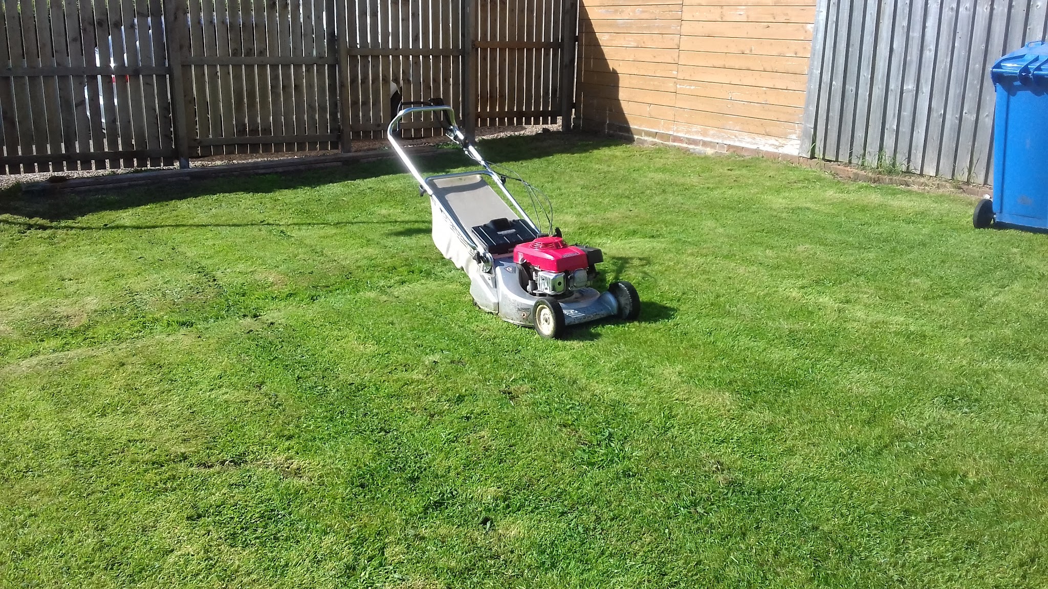Mown lawn in front of a timber fence